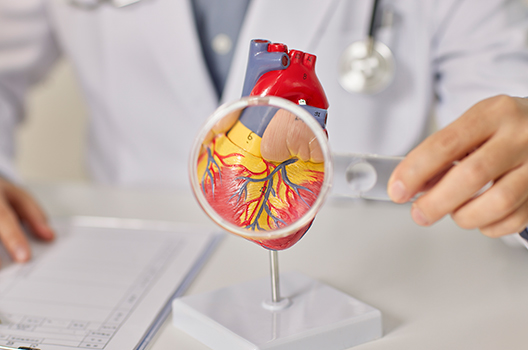 심장·혈관센터 