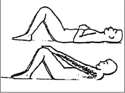 5.jpg 복근을 강화시켜주는사진